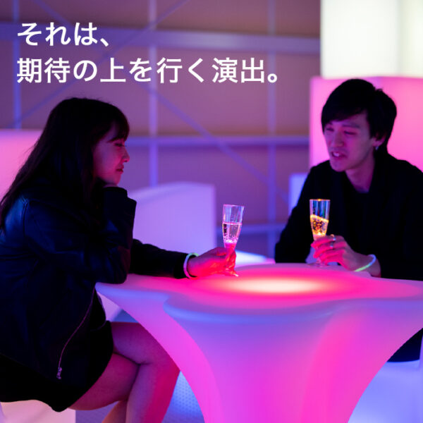 STARX & REGULUS　5点セット《スタークス 1点 / レグルス 4点》 - 画像 (2)