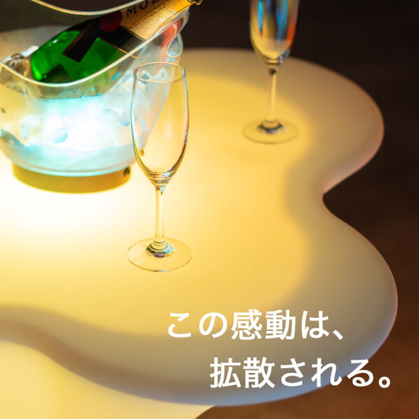 STARX & REGULUS　5点セット《スタークス 1点 / レグルス 4点》 - 画像 (13)